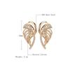 Stylish Copper Zircon Earrings for Women and Girls