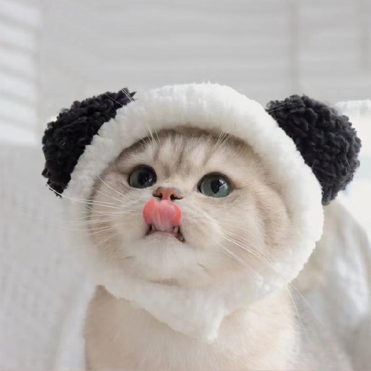 Pet Hat Cute Panda Shape Costume Party Accessories Animal-Safe Materials