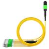 AMPCOM MPO-FC High-Density Fiber Optic Patch Cable