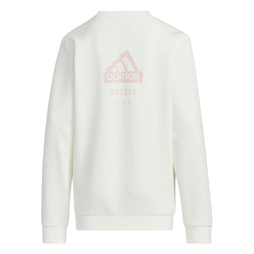 Adidas Sweatshirt OUTDOOR SWEATSHIRT Jade White Teenagers JN9586