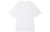 Nike ACG Men's Lungs T-shirt White DQ1815-121