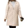 Women's  And Winter Loose Hooded Zippered Plush Coat