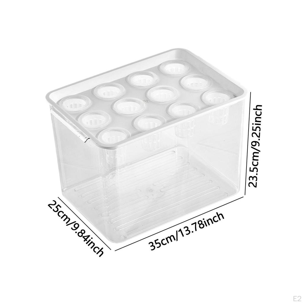 Home Hydroponics Growing Box for Microgreens Development