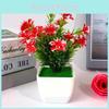 Camellia Sasanqua Plastic Mini Garden With Multiple Blooms For Home Office And Indoor Decoration