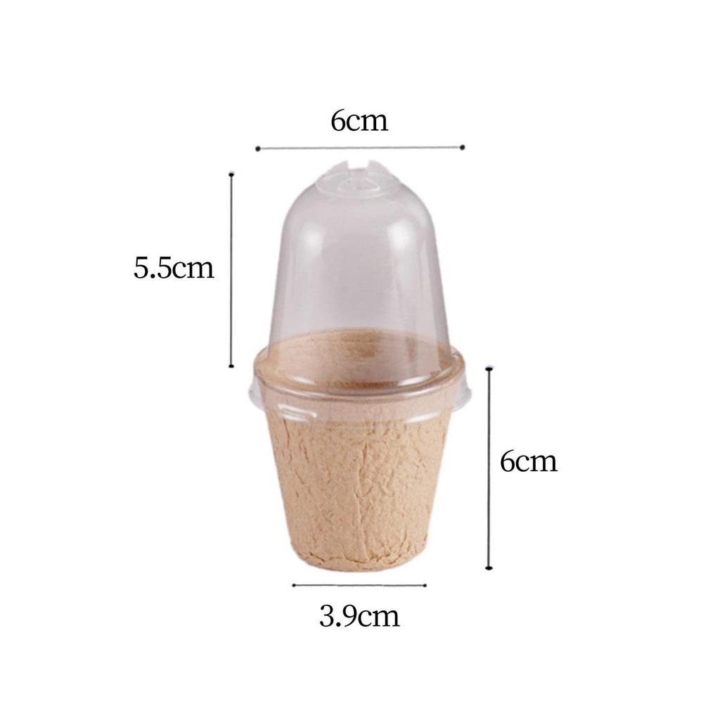 Biodegradable Nursery Home Seedling Pot With Aerated Lid