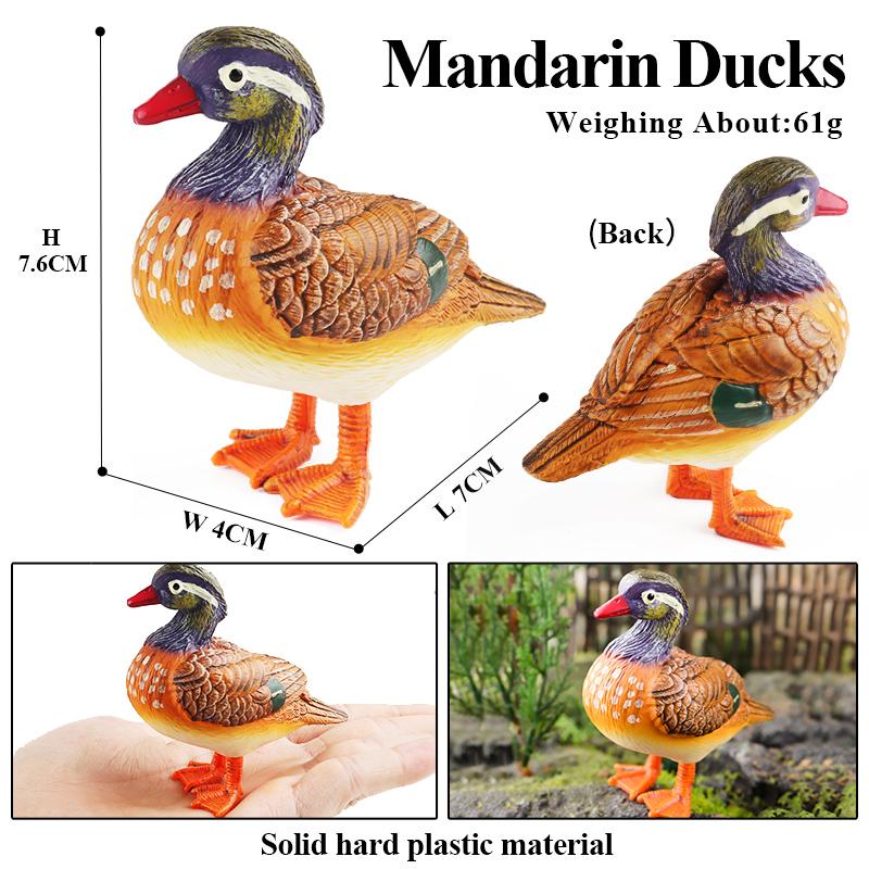 Oenux Simulation Cute Poultry Farm Animals Model Mandarin Duck Goose Swan Hen  Action Figures PVC Miniature Toy Gift For Kids
