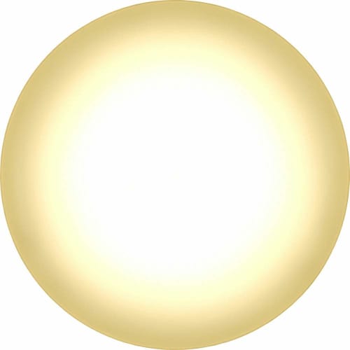 Iris Ohyama Ceiling Light, Voice Control, LED ~8 Tatami Dimming, Adjustable Color (Japan Lighting Industry Association Standards), 4000lm, Remote Cont