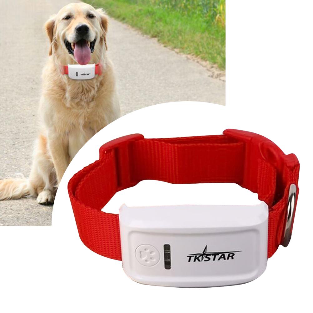 tk909 pet gps tracker