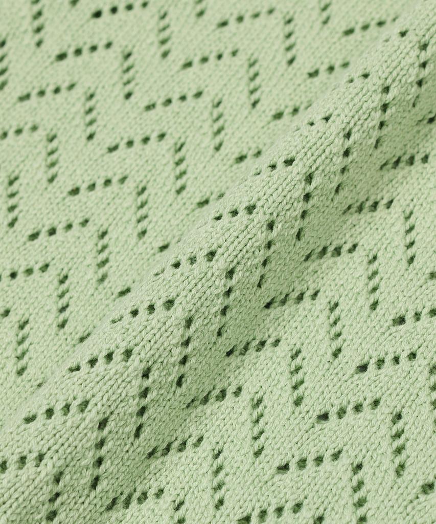 IRONYPORNO WHITELINE 86-Iro314 [Washable] Punched V-Neck Knit Vest Light Green