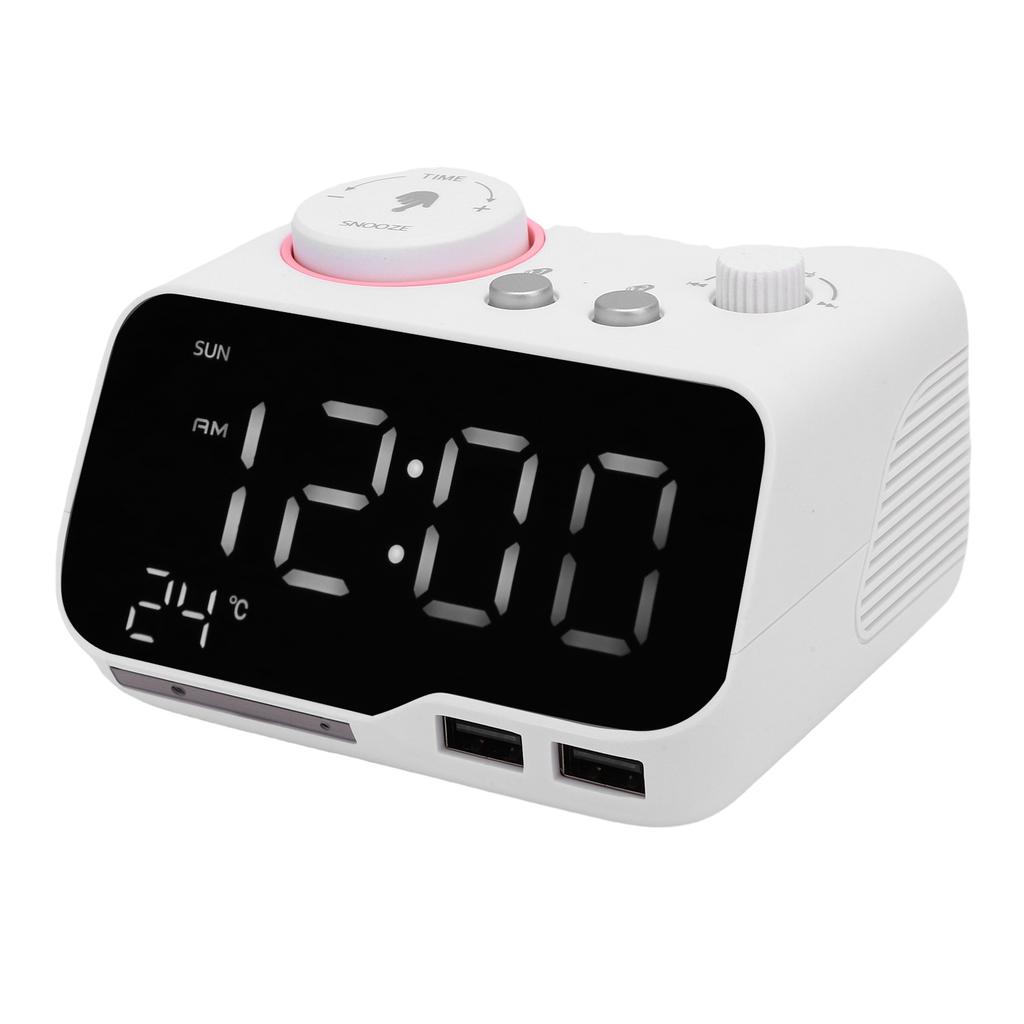 Digital Dual Alarm Clock Bluetooth Speaker FM Radio Alarm Clock with LED Display for Temperature Day of Week