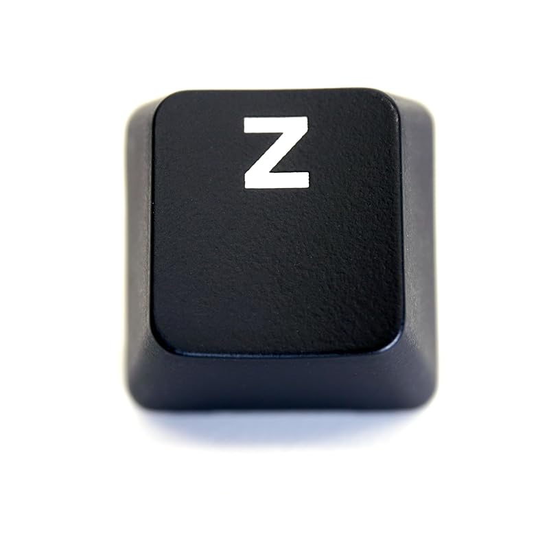 

logitech GPRO G PRO X keycap Japanese sequence for replacement [Sold separately] key switch keyboard gaming Compatible with luminescence [BERGBUCH]