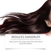 Hoegoa Batana Hair Care Shampoo - Cleansing Scalp Gentle Nourishing, Soft Shiny Hair, Rosemary Shampoo