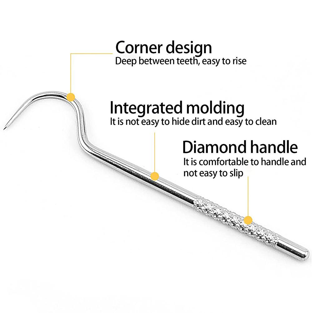 4 Pcs Toothpick Holder Set Portable Stainless Steel Oral Care Set Tartar Remover Tooth Cleaning Set