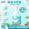 Blue Moon Fresh Fruit Mint Foam Antibacterial Hand Soap