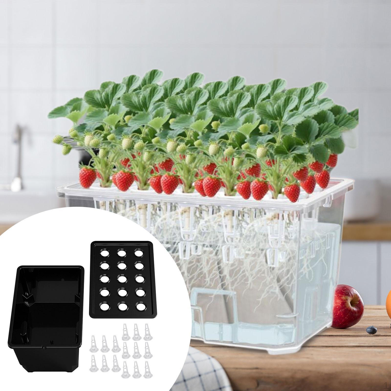 

Growing System Kit 15 Holes Lightweight Garden Planting Container Box Grow for Outdoor чорний