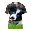 Summer Creative New Border Collie 3D Printed Fashionable Cute Dog Casual Round Neck Short Sleeve
