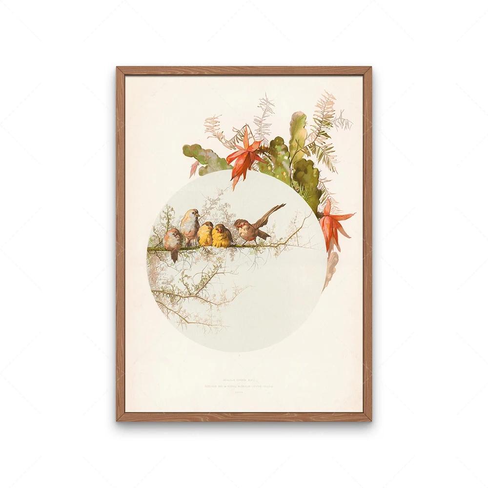 Garden birds poster, goldfinch bird, beaked warbler bird and hyacinth flower, four bengal birds, audubon bird print decoration,