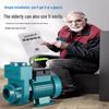 Cai Zhi Self-Priming Dual-Purpose Water Pump
