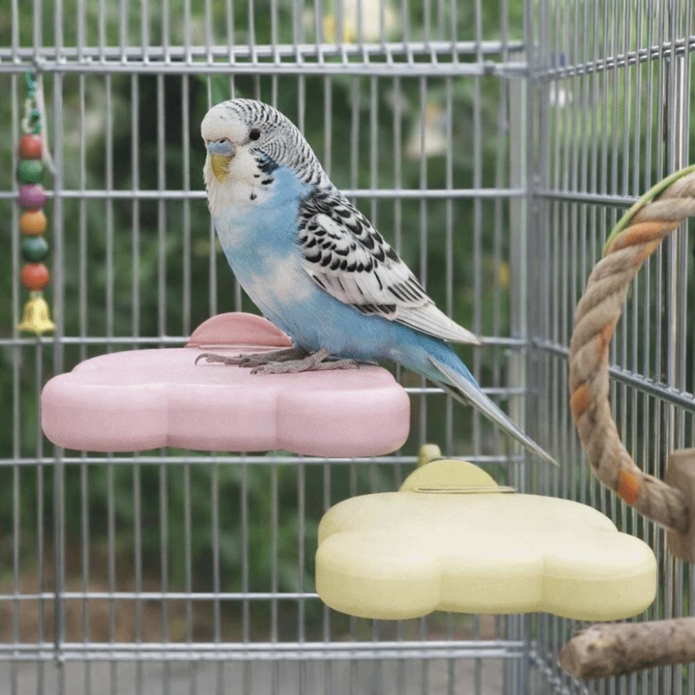 Wear Resistant Pumice Parrot Stand Detachable Claw Grinding Stand Parrot Rack Toy  Training