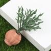 Dollhouse 1:12 Miniature Rose Tulip Hyacinths Sunflower Fruit Tree Potted Green Plant Flower Tree Plants Bonsai Model Home Decor