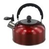 Stylish Whistling Kettle 3L Stainless Steel for Gas Electric Induction