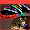 Collier LED pour animaux de compagnie à taille ajustable, rechargeable par USB, pour chats et chiens, matériau en nylon