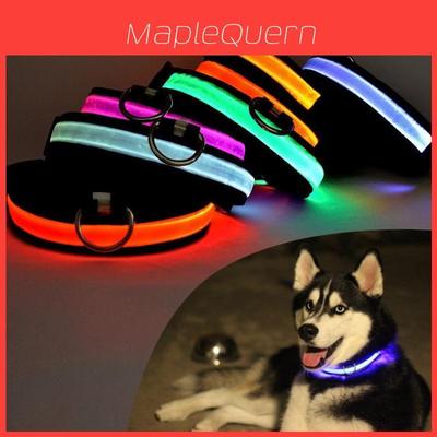 Adjustable Size Usb Rechargeable Led Pet Collar For Cats And Dogs Nylon Material