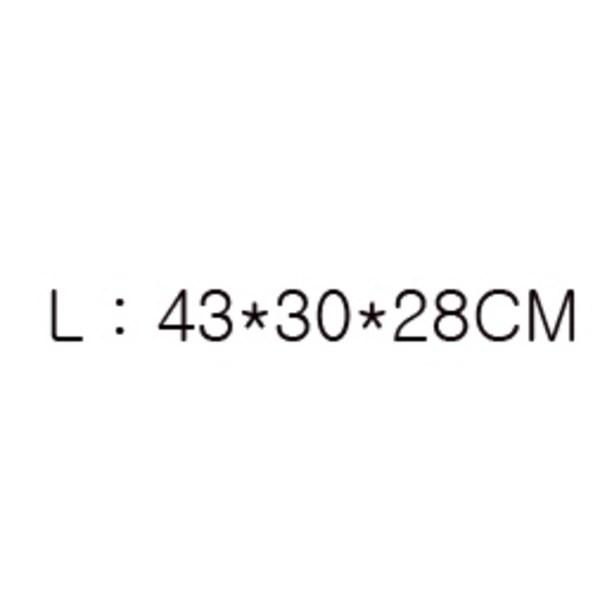 Shoulder Bag for Dog Going Out, Korean Pet Shampoo