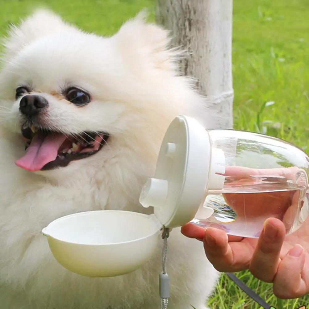 300ml taşınabilir Pet su şişesi açık seyahat suluk besleme kasesi kordon ile küçük orta kediler köpekler için evcil hayvan malzemeleri