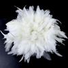 White Rooster Feather Natural Hot Sale Pheasant Plumes Wedding Party Clothing Decoration Accessory 800-1000 Pcs/Lot