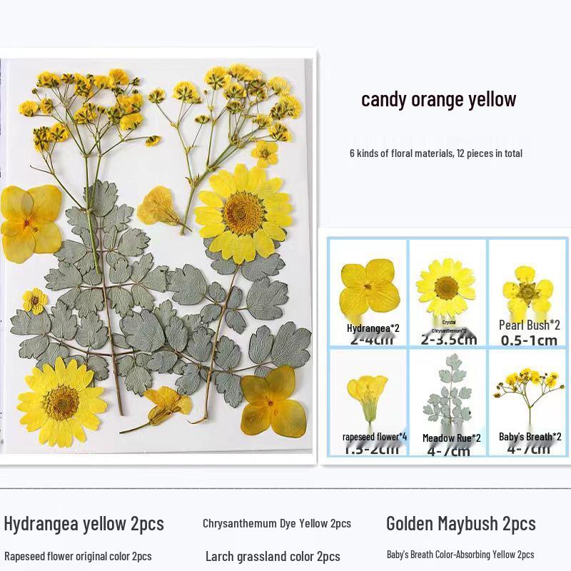 Handmade Resin Pressed Flower Bookmark DIY Kit: Transparent Specimen Stickers & Dried Flowers for Students