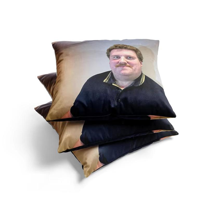 Aertemisi Drachenlord Poster Rainer Winkler Square Cushion Cover Pillowcase Sofa Bed Office Decoration