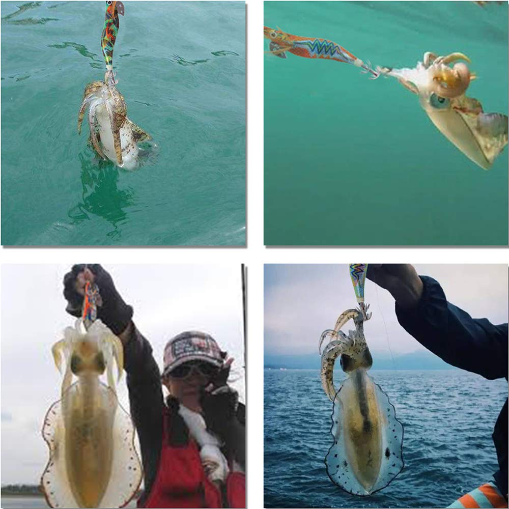 Squid Fishing Egi Jig Reversible Egi Lure Set with Lure 10 Great Set, Squid, Octopus, Case, Colors, Catch, 2.5mm