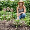 3 piezas Estacas para Plantas de Crecimiento Electrocultura Estacas de Planta Bobina de Alambre de Cobre de Energía Orgone Estacas Barra de Fijación para Bonsái Plantas de Jardín