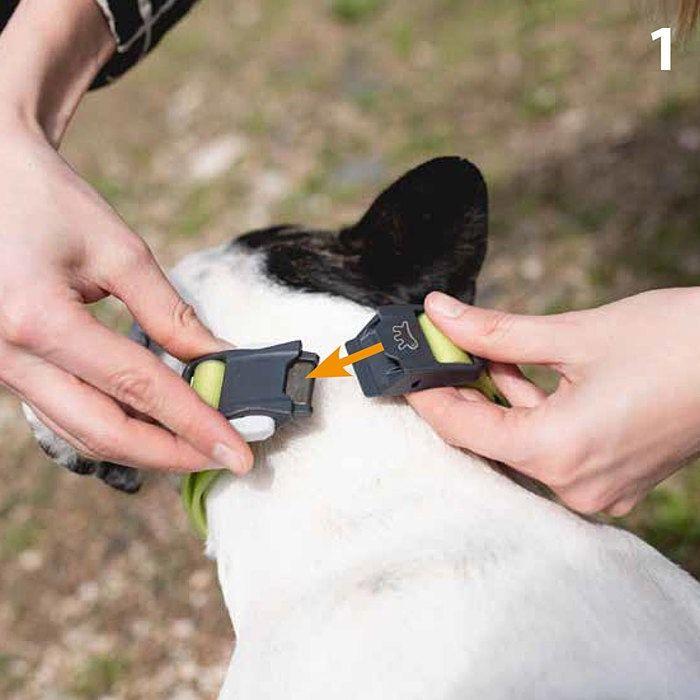 Collier pour chien - FERPLAST - Club Reflex - Réfléchissant - Fermeture magnétique - Réglable 30–44 cm