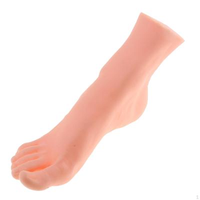 1 Piece PVC Male Right Foot Model for Shoes Socks Short Stocking Anckle Chain Display