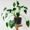 2pcs 16.51cm Flowerpot Removable Bottom Round Flower Pot 6.5inch Detachable Bottom Flower Pot Outdoor Garden Home Supplies