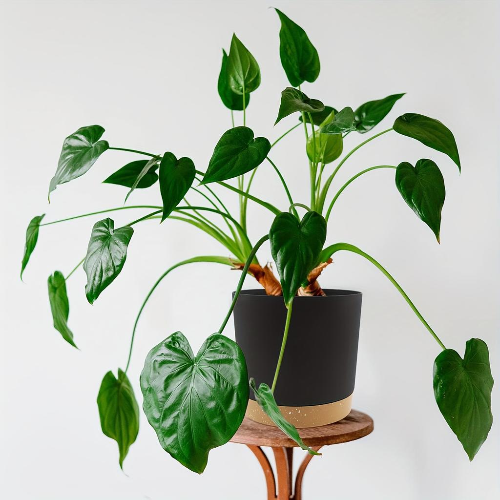 2pcs 16.51cm Flowerpot Removable Bottom Round Flower Pot 6.5inch Detachable Bottom Flower Pot Outdoor Garden Home Supplies