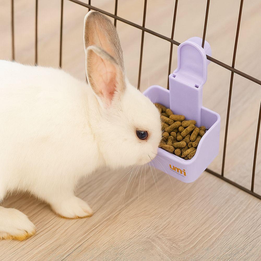 Wall Mounted Rabbit Food Bowl Bite Resistant Guinea Pigs Feeding Bowl  Cage Mount
