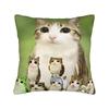 Funny Smiling Meowl Cat (2) Pillow Case Morden Pillow Cover Design Pillowcases For Sofa Bedroom Home Decor
