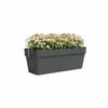 ARTEVASI Kit balcon Jardiniere CAPRI RE 50cm anthracite - 50,2 x 28,5 x h20 cm - 1,45L