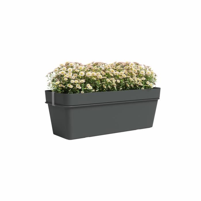 ARTEVASI Kit balcon Jardiniere CAPRI RE 50cm anthracite - 50,2 x 28,5 x h20 cm - 1,45L