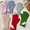 Rabbit Hair Ball Knitted Gloves for Women's New Korean Style Cashmere Thickened Student Writing In Winter Cute Warm Touch Screen