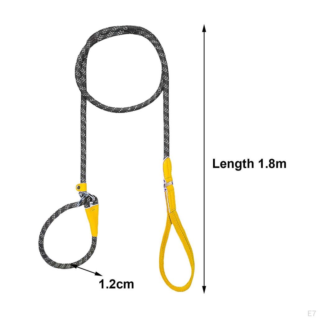 Dog Leash for Active Medium To Large Pets