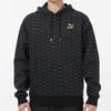 Sweatshirts Men's Black Hooded Moderate Regular 534409-01