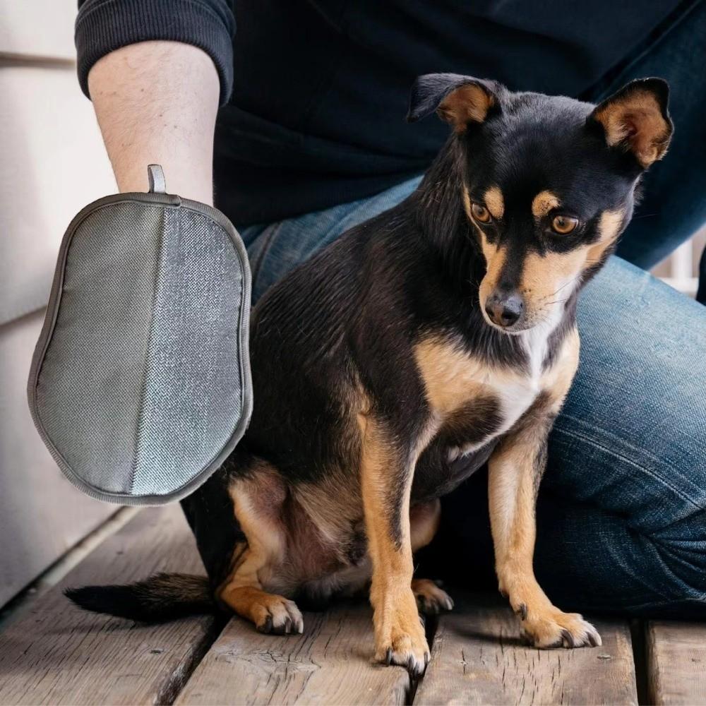 2Pcs Cat Paw Electrostatic Gloves Cute Pet Grooming Glove Cat Hair Cleaning Glove  Pet Accessories