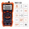 RICHMETERS Digital Smart Multimeter 6000 Digitalanzeige RM113D Tragbar mit Magnet