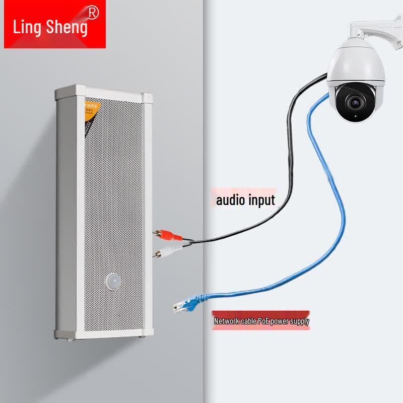 Lingsheng FT-107 Outdoor POE Motion Sensor Alarm Speaker (CN Version)