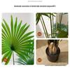 Large Luxury Faux Livistona Flower: Indoor Green Plant Floor Decoration