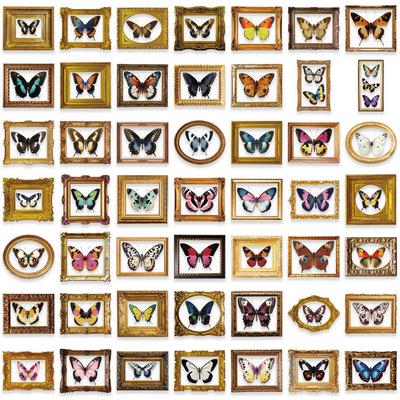 52 Retro Butterfly Stickers Pack Waterproof Transparent PET Hand Account Butterfly Material Decorative Guitar Notebook